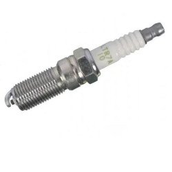 VELA IGNICAO -