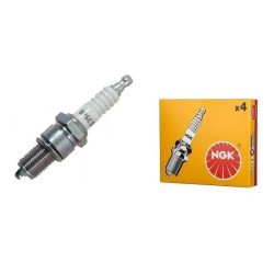 VELA IGNICAO -